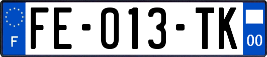 FE-013-TK