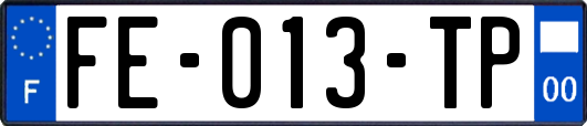 FE-013-TP