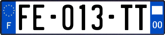 FE-013-TT