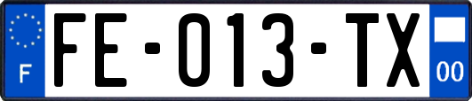 FE-013-TX