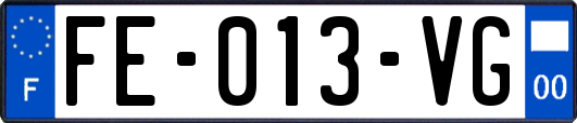 FE-013-VG
