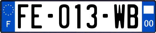 FE-013-WB