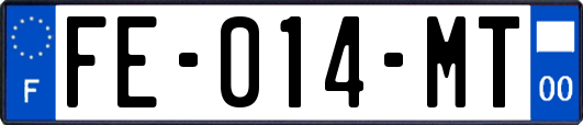 FE-014-MT
