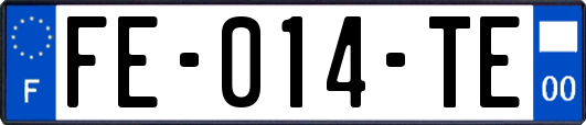 FE-014-TE