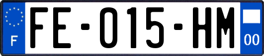 FE-015-HM