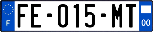 FE-015-MT
