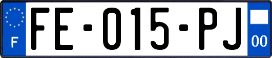 FE-015-PJ