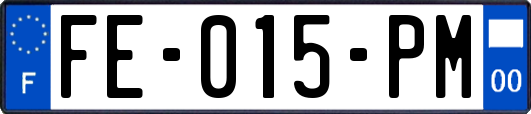 FE-015-PM