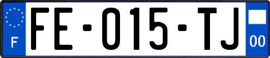 FE-015-TJ