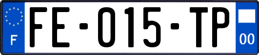 FE-015-TP