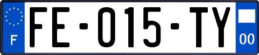 FE-015-TY