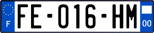FE-016-HM