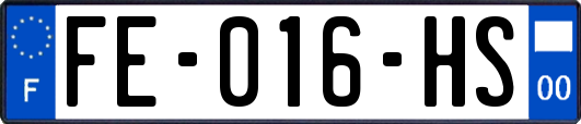 FE-016-HS