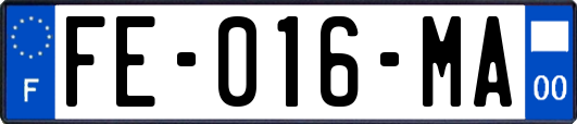 FE-016-MA