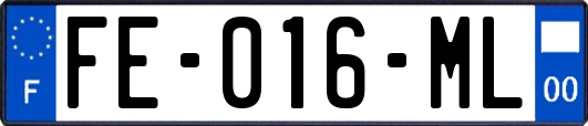 FE-016-ML