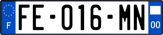 FE-016-MN