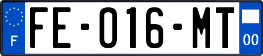 FE-016-MT