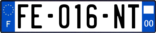 FE-016-NT