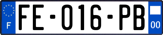 FE-016-PB