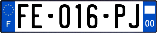 FE-016-PJ