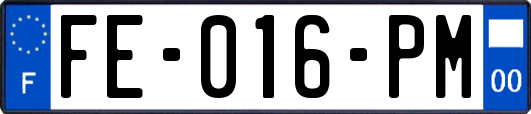 FE-016-PM