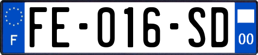 FE-016-SD