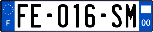 FE-016-SM