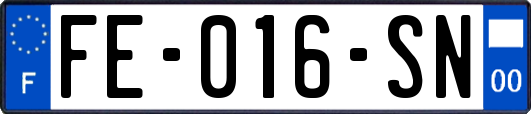 FE-016-SN