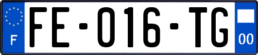 FE-016-TG