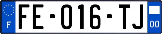 FE-016-TJ