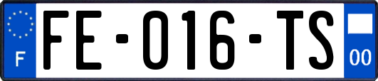 FE-016-TS
