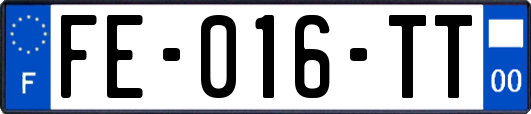 FE-016-TT