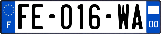 FE-016-WA