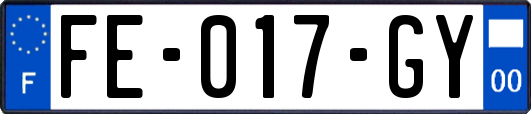 FE-017-GY