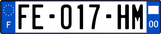 FE-017-HM