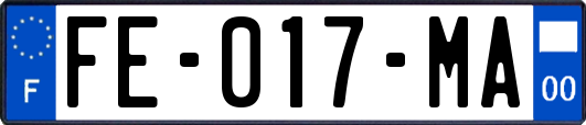 FE-017-MA