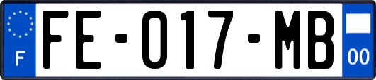 FE-017-MB