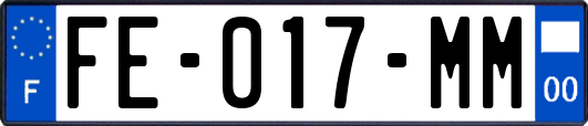 FE-017-MM