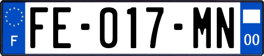 FE-017-MN