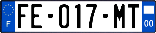 FE-017-MT