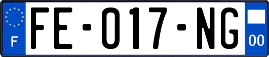 FE-017-NG