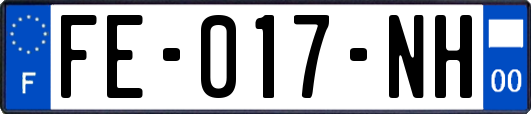 FE-017-NH