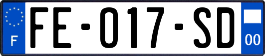 FE-017-SD