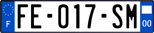 FE-017-SM