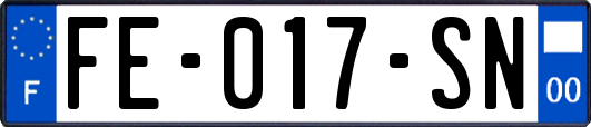 FE-017-SN