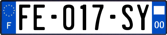 FE-017-SY