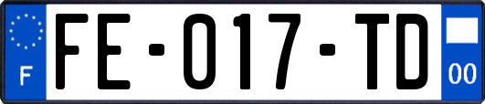 FE-017-TD