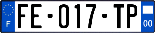FE-017-TP