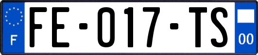 FE-017-TS