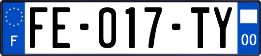 FE-017-TY